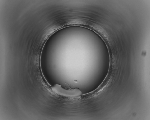 X0000096160937200801181222