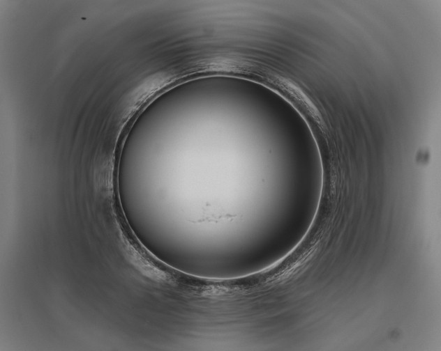 X0000096160938200801181222