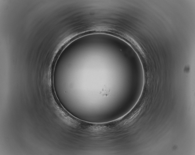 X0000096160939200801181222