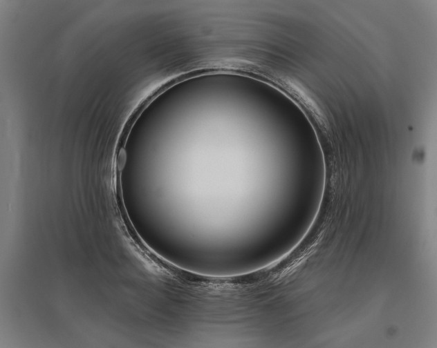 X0000096160940200801181222