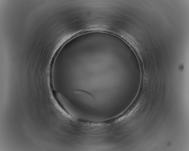 X0000096160941200801181222
