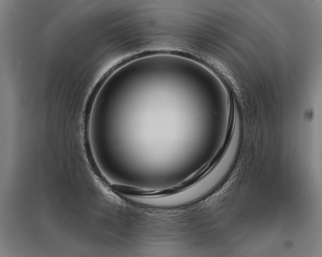 X0000096160942200801181222
