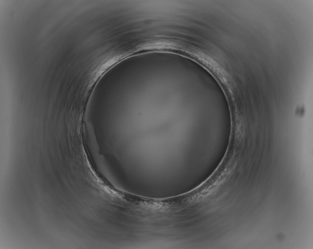 X0000096160945200801181222
