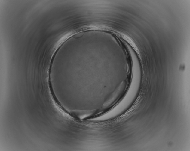 X0000096160946200801181222