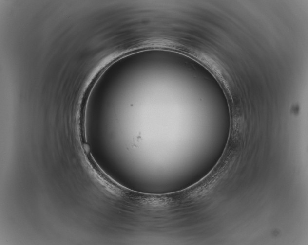 X0000096160947200801181222
