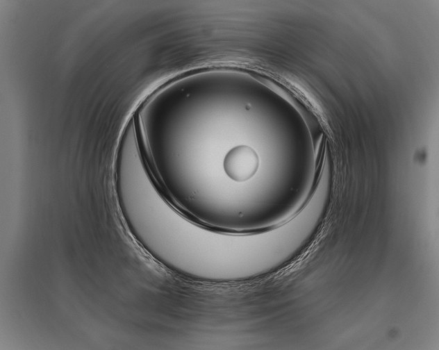 X0000096160948200801181222