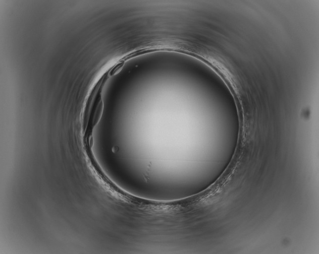 X0000096160949200801181222