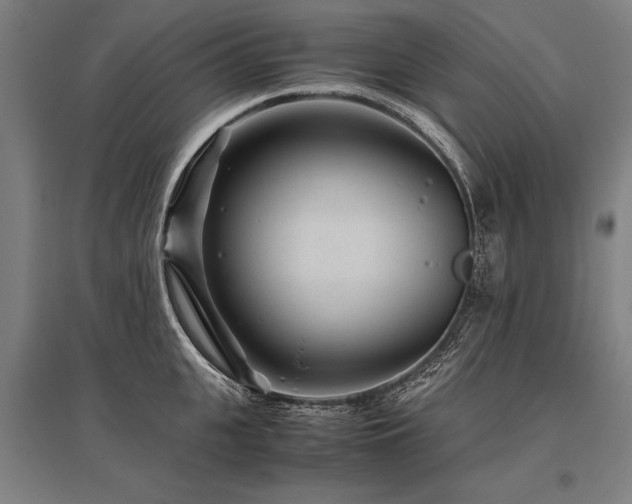 X0000096160951200801181222