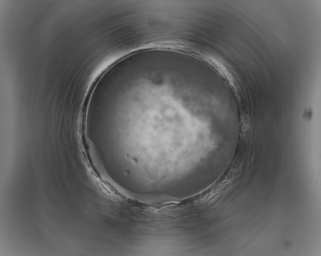 X0000096160952200801181222
