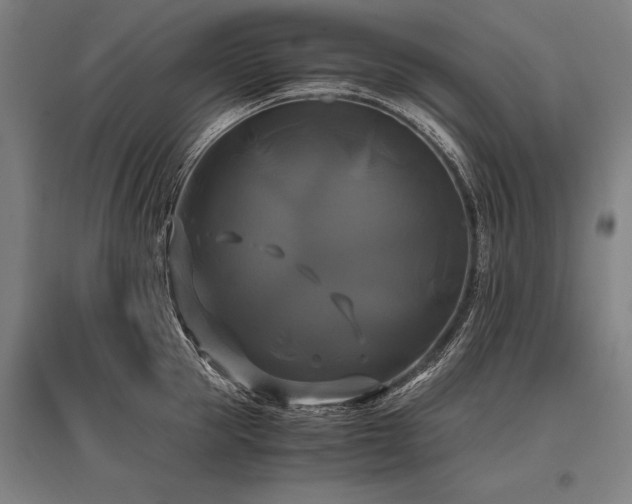 X0000096160953200801181222