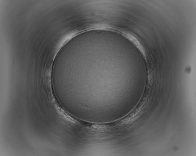 X0000096160954200801181222