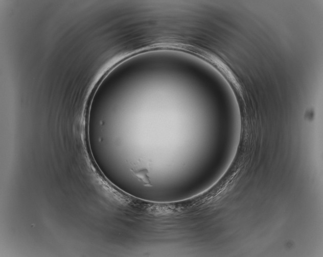 X0000096160955200801181222