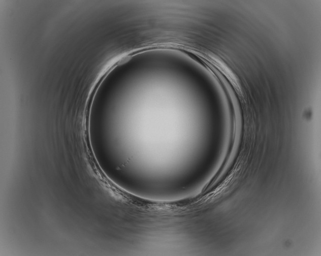 X0000096160956200801181222