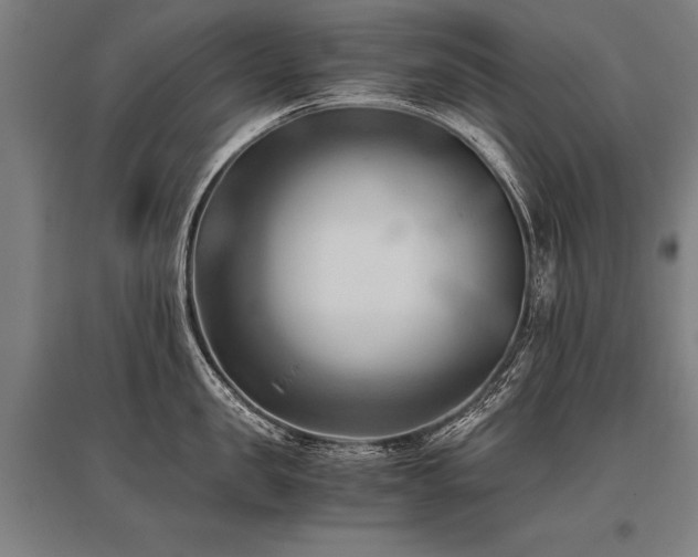 X0000096160957200801181222