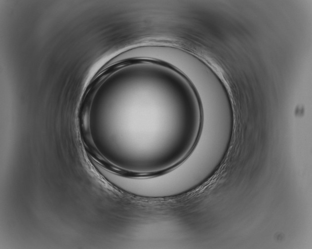 X0000096160960200801181222