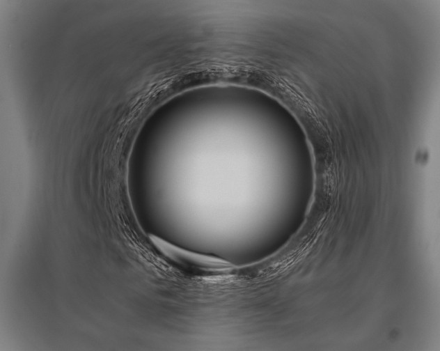 X0000096160961200801181221