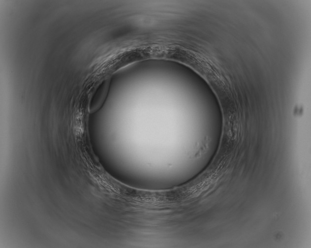 X0000096160962200801181221