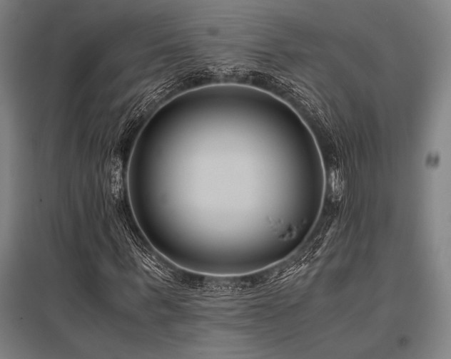 X0000096160963200801181221