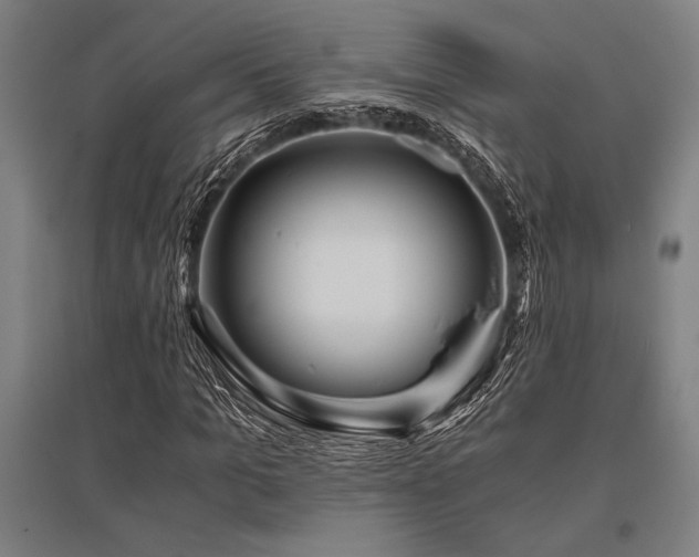 X0000096160965200801181221