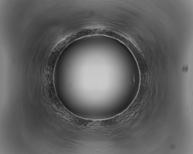 X0000096160967200801181221