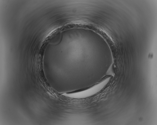X0000096160968200801181221