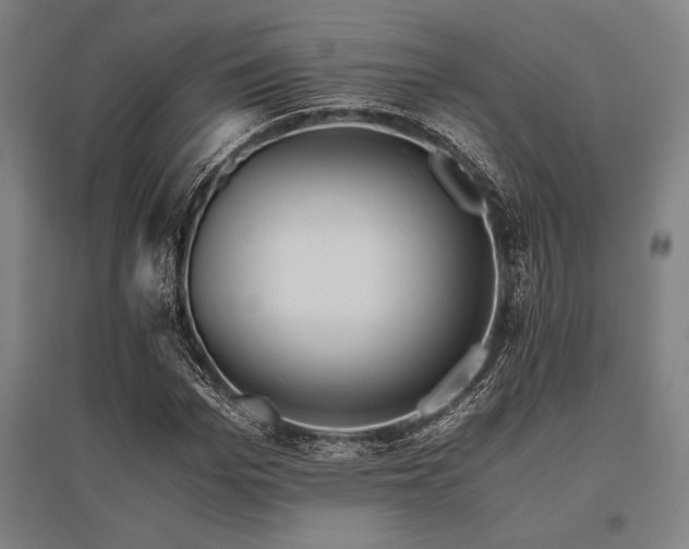 X0000096160969200801181221