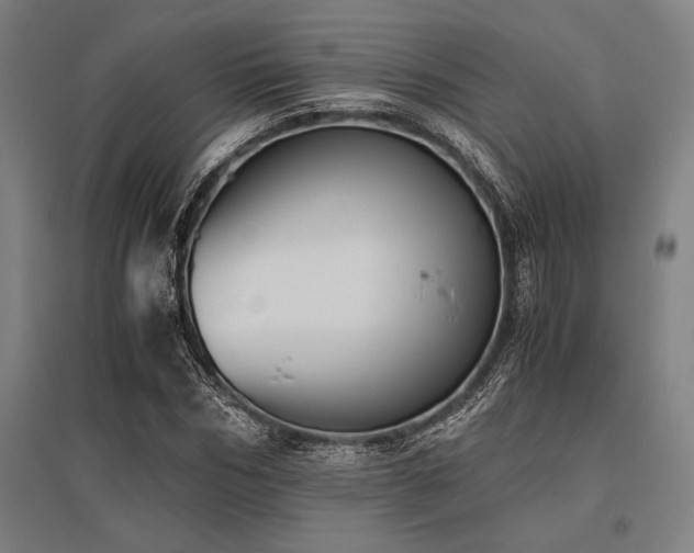 X0000096160970200801181221
