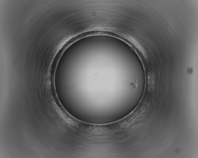 X0000096160972200801181221