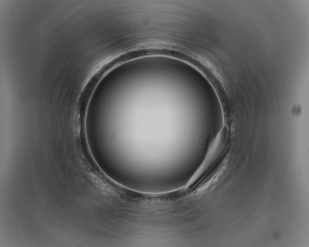 X0000096160973200801181221