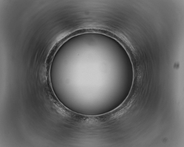 X0000096160974200801181221