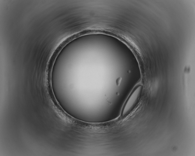 X0000096160976200801181221