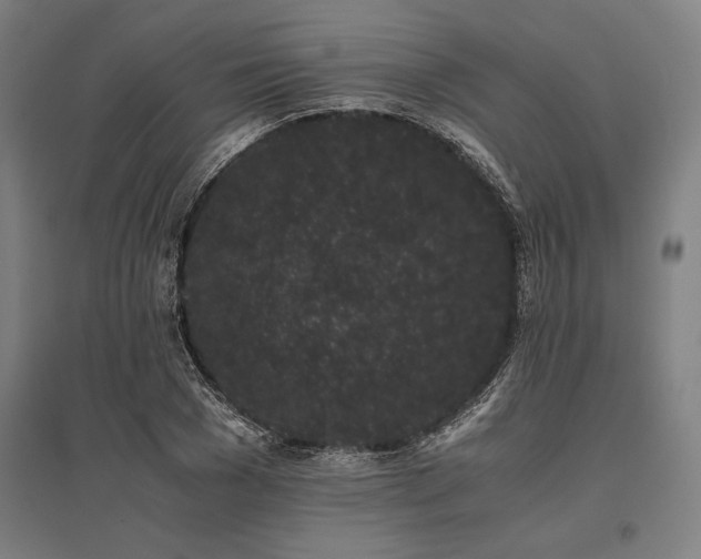 X0000096160977200801181221