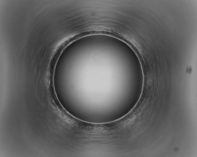 X0000096160979200801181221
