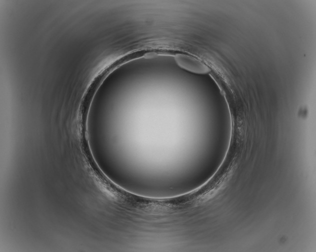 X0000096160981200801181221