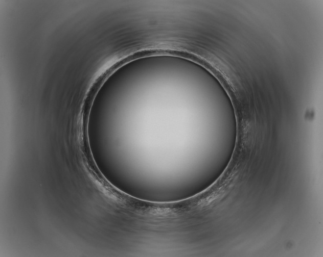 X0000096160982200801181221