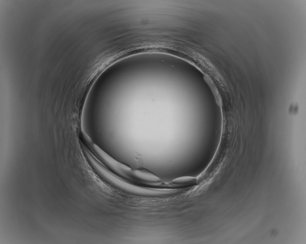 X0000096160985200801181221