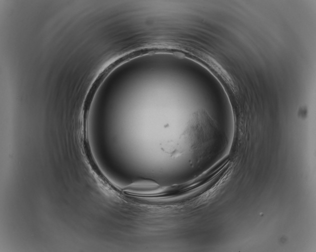 X0000096160988200801181221