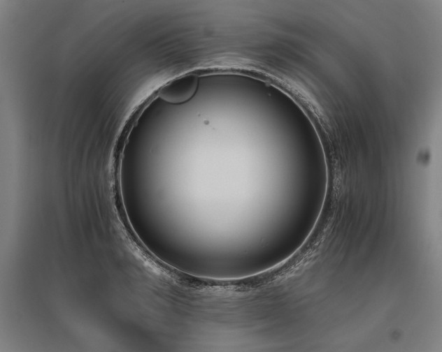 X0000096160990200801181221