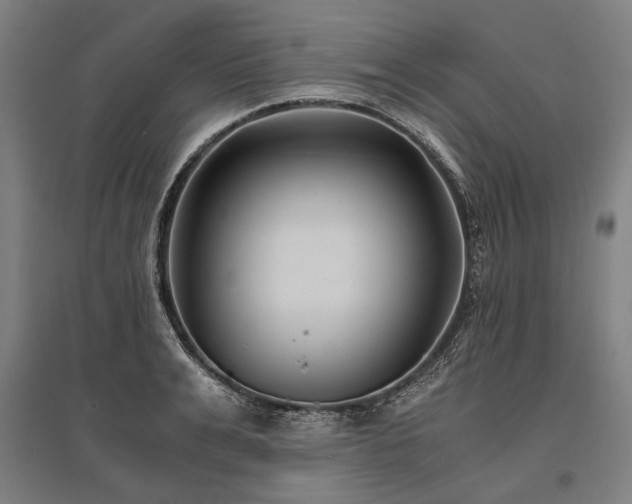X0000096160991200801181221