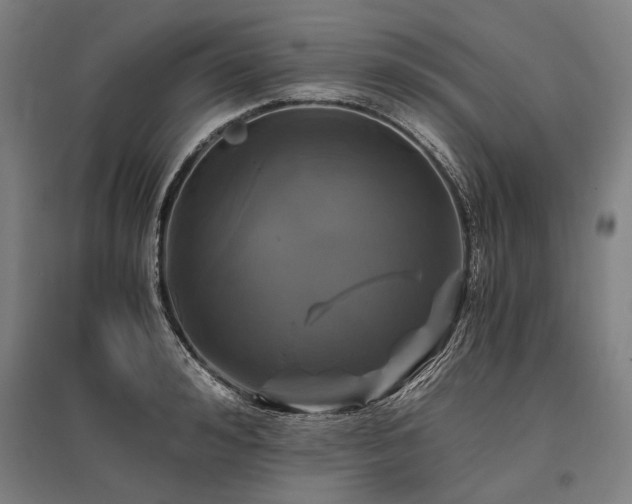 X0000096160992200801181221