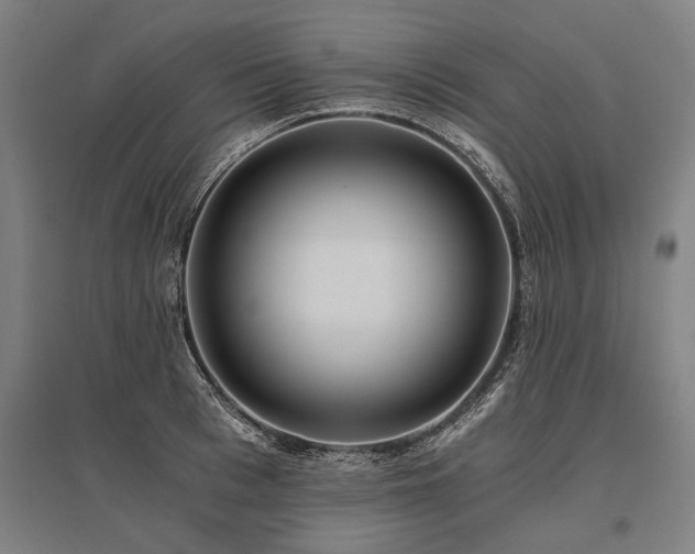 X0000096160993200801181221
