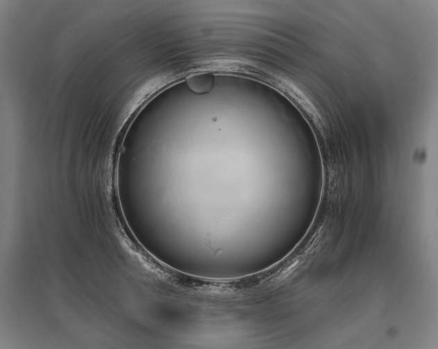 X0000096160994200801181221