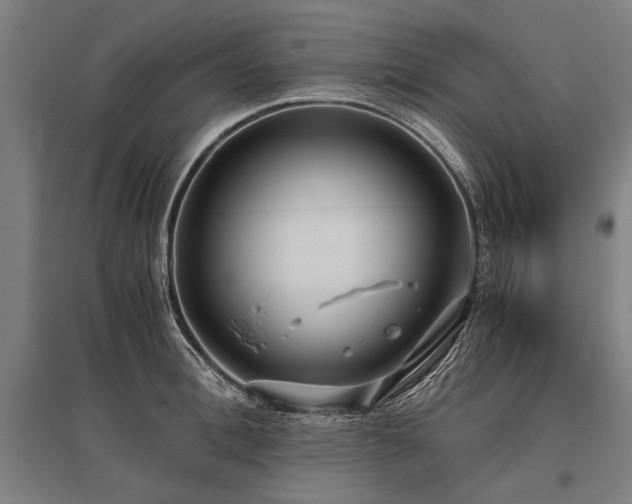X0000096160996200801181221