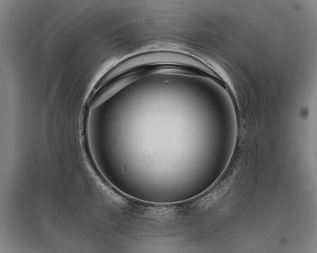 X0000096160997200801181221