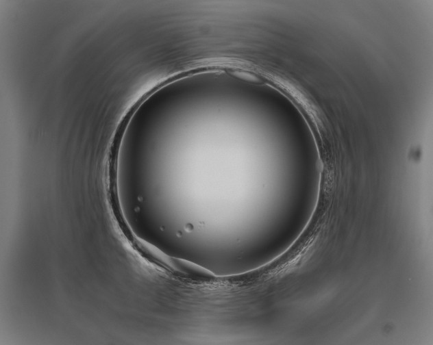 X0000096160999200801181221