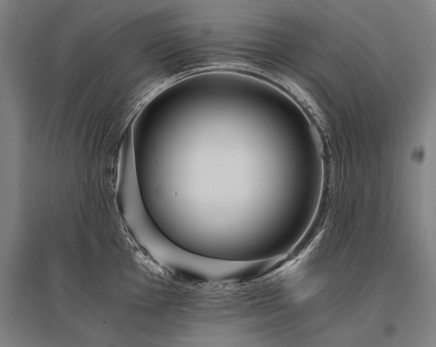 X0000096161001200801181221