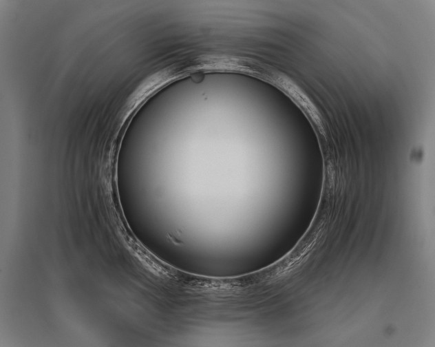 X0000096161002200801181221