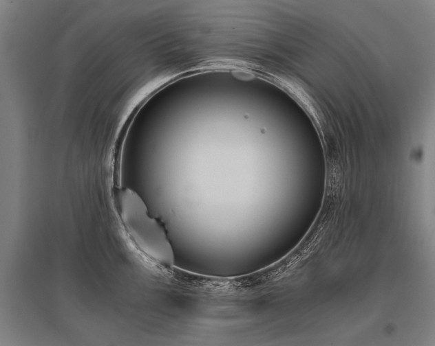 X0000096161003200801181221