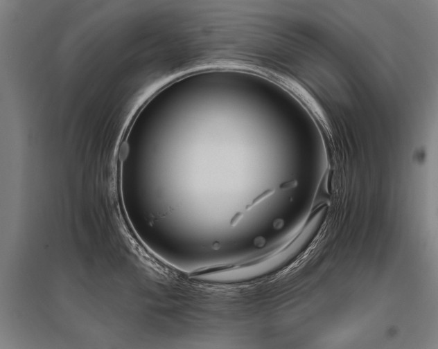 X0000096161004200801181221