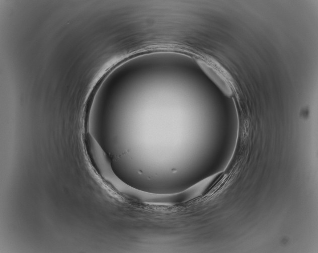 X0000096161005200801181221